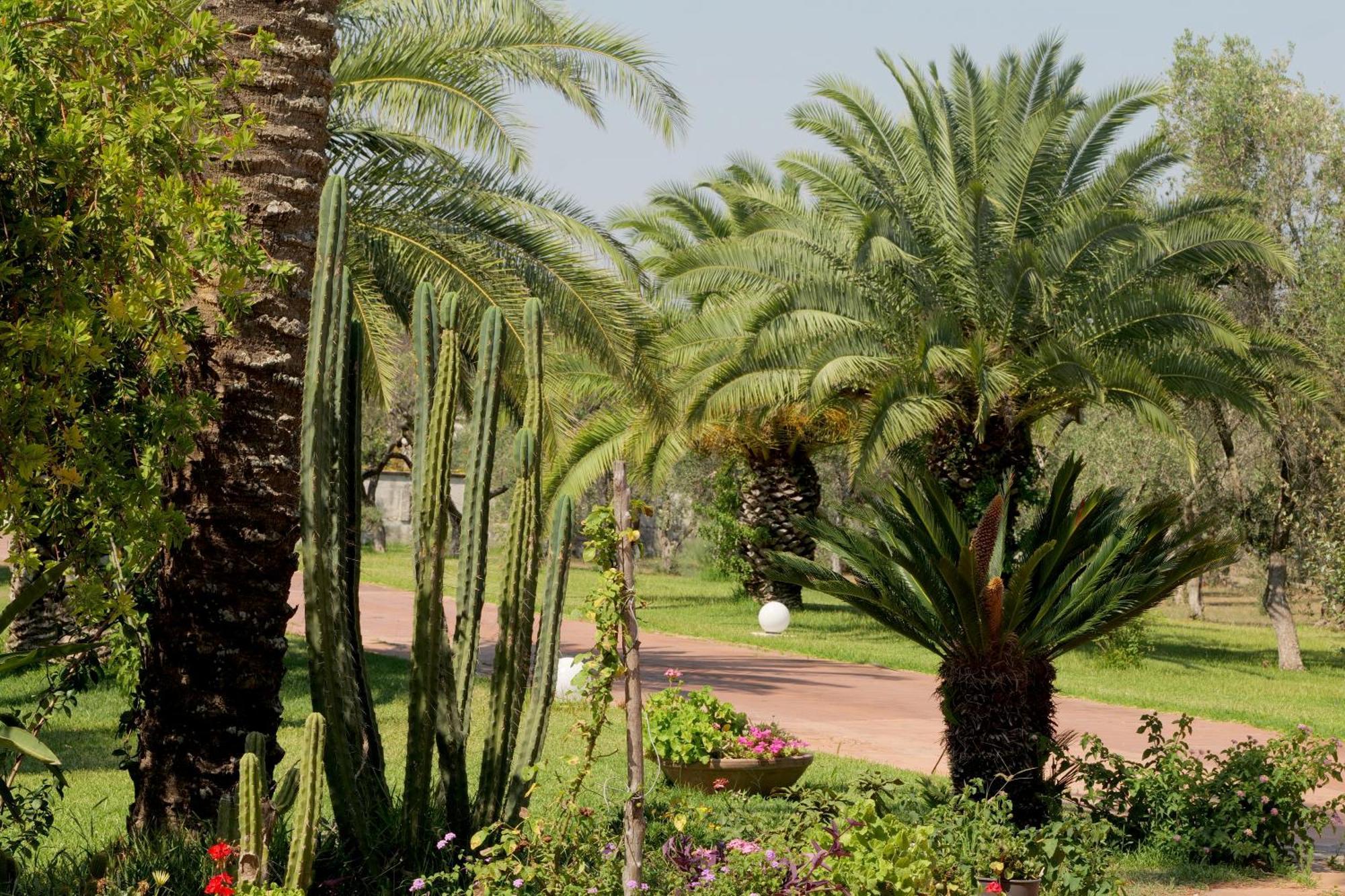 Tenuta Ricco With Pool And Garden Cursi Exterior photo