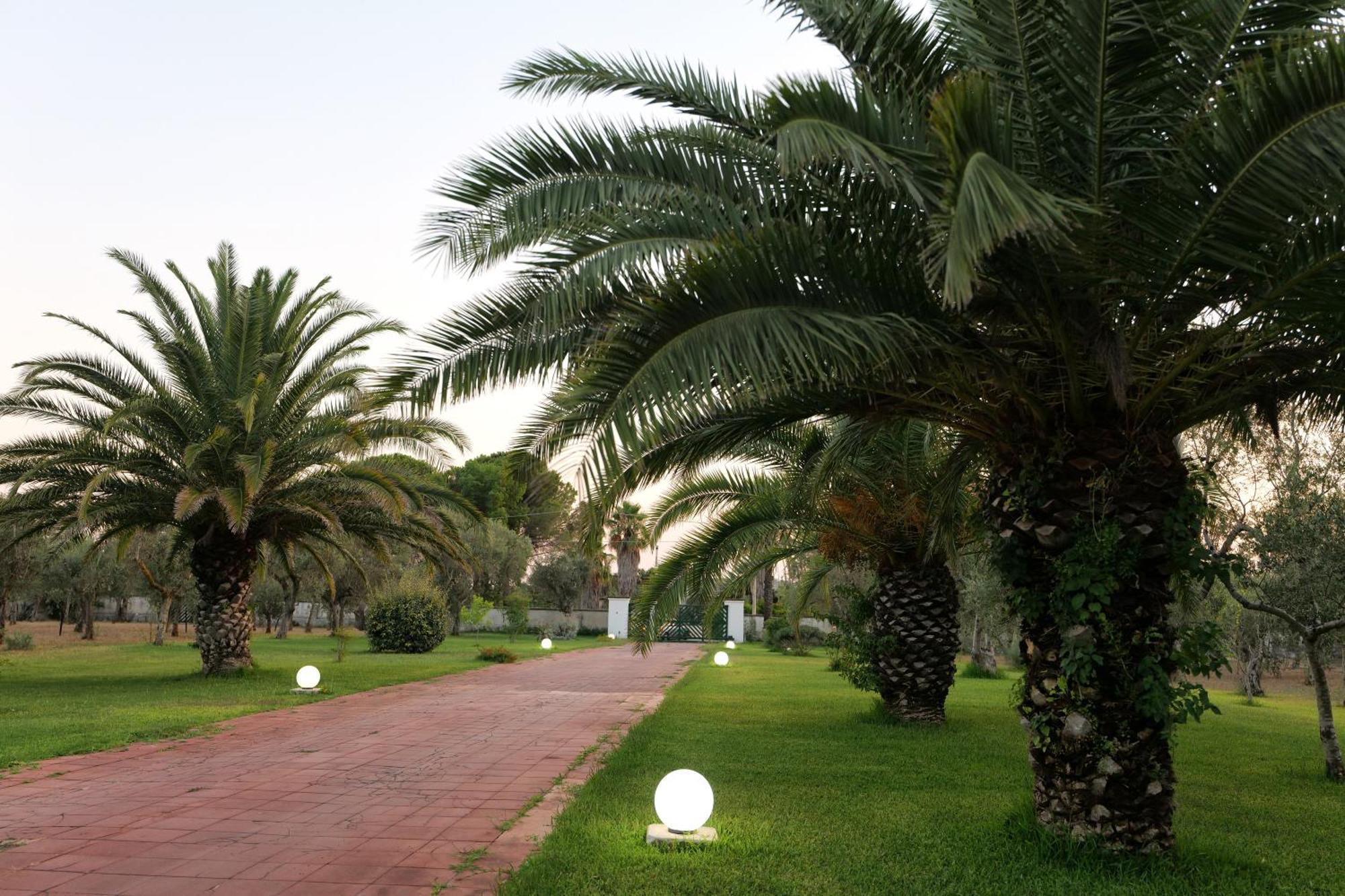 Tenuta Ricco With Pool And Garden Cursi Exterior photo