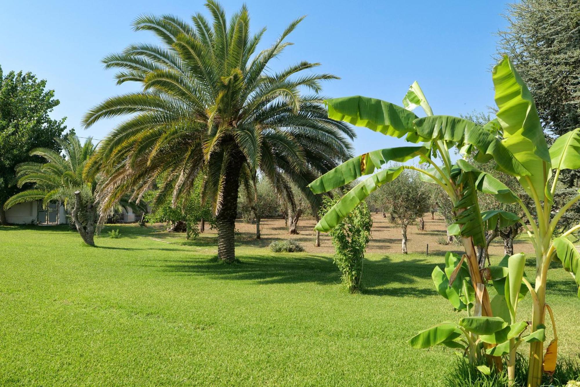 Tenuta Ricco With Pool And Garden Cursi Exterior photo