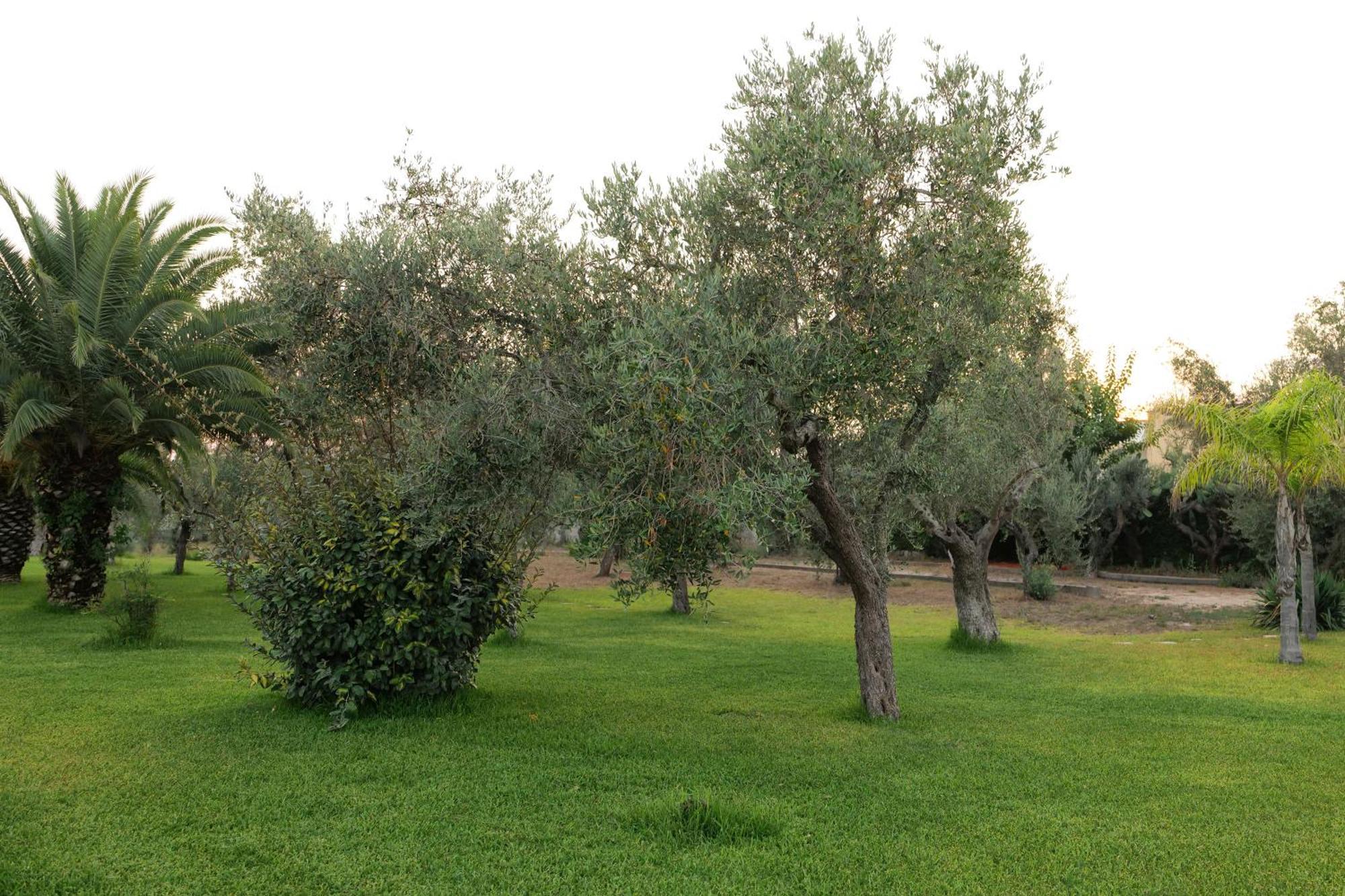Tenuta Ricco With Pool And Garden Cursi Exterior photo